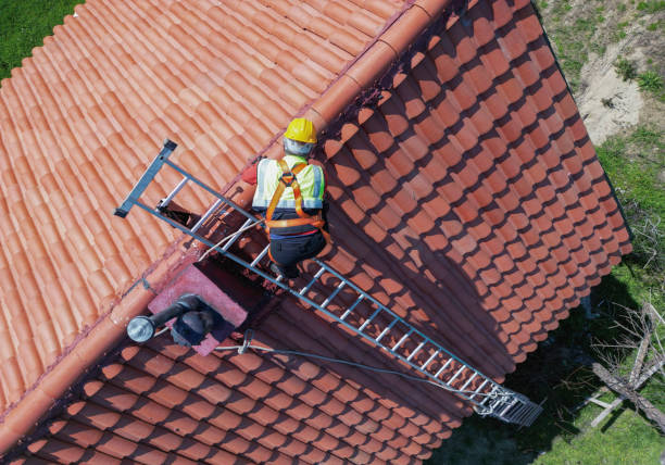 Best Roof Ventilation Installation  in Agler Estates, FL